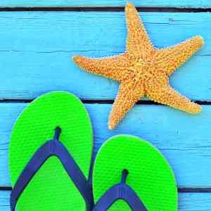 List of attractions and activities link 300