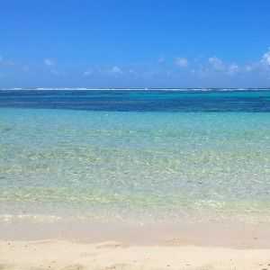 swimming in tropical lagoon link