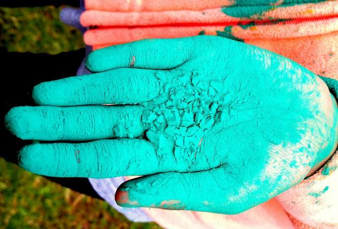 holi festival mauritius