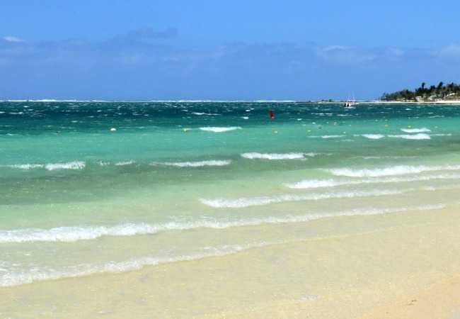 trade winds on East coast trade winds on east coast