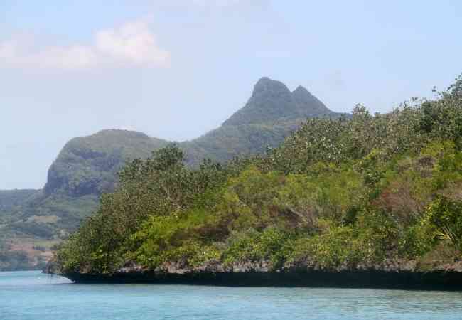 Close up of coral formation at Ile aux Aigrettes Coral formation at ile aux Aigrettes