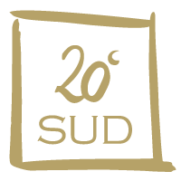 20 degres sud logo