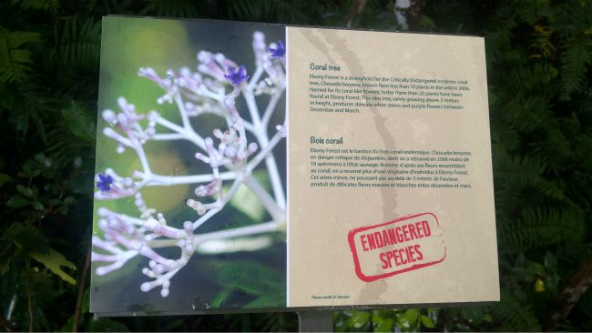 ebony forest endangered specie