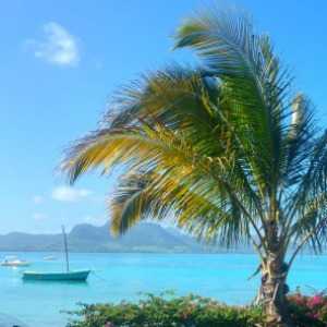 South East coast at Mahebourg