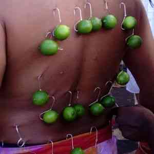 Thaipoosam Cavadee devotee