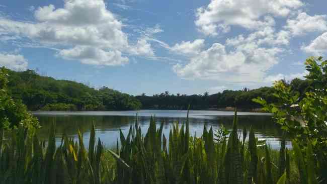 Turtle Bay Mauritius